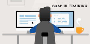 SoapUI Web Services Testing training