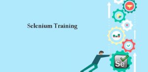 Selenium training Toronto